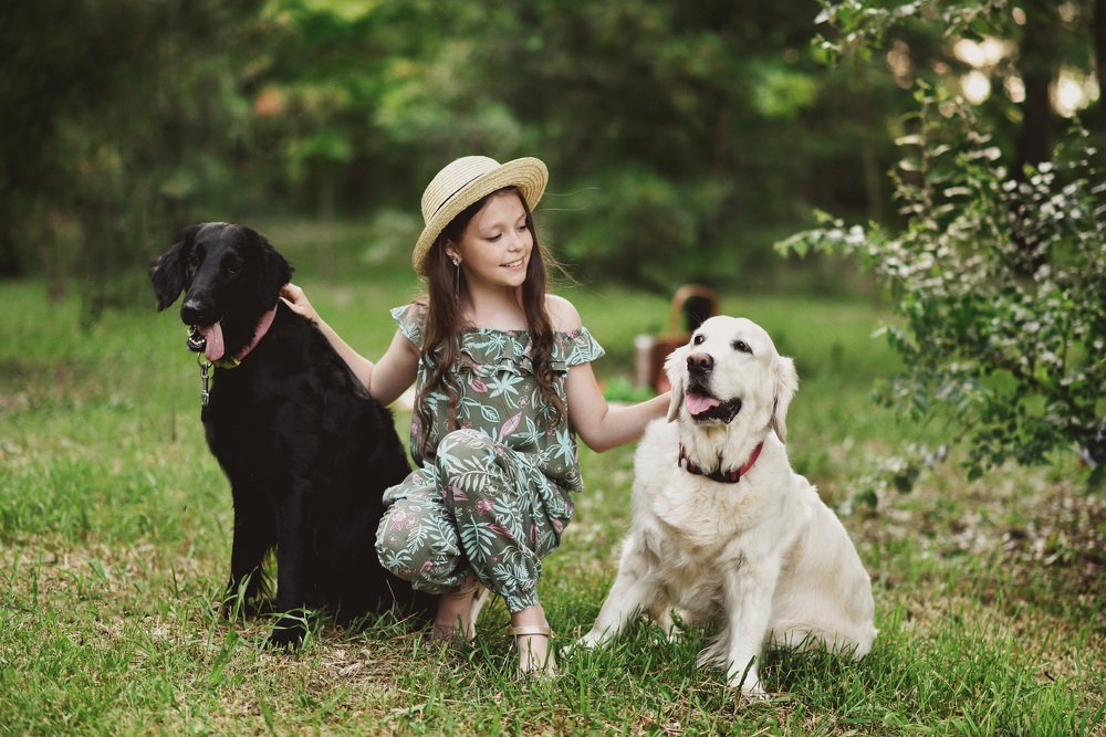 с любимцами