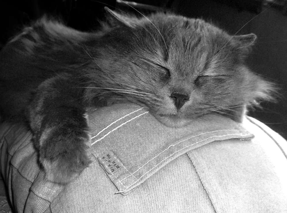 Mechita and her mama