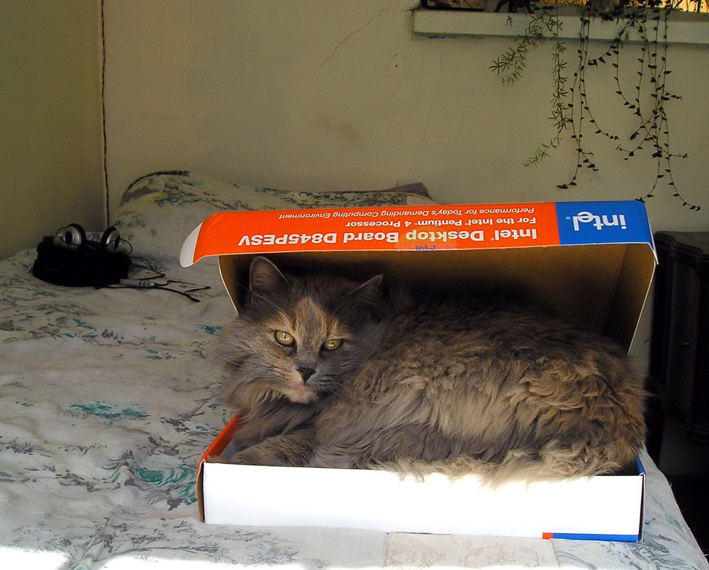 Intel's new motherboard