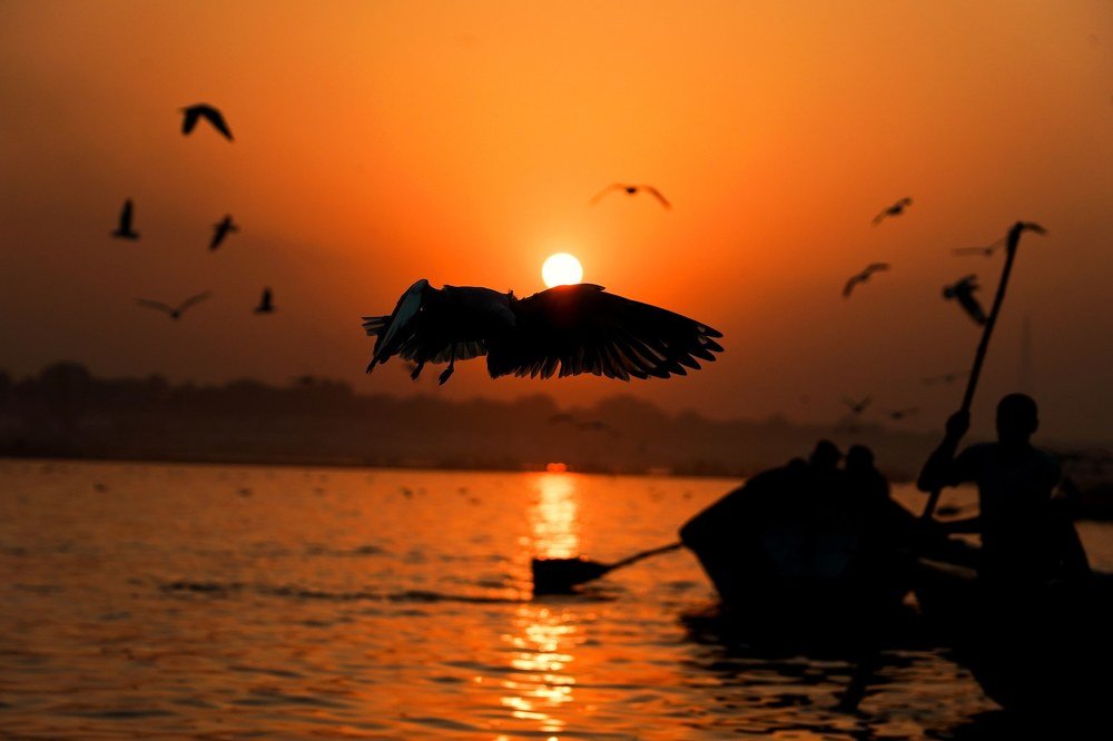 Peace is seeing a sunset.