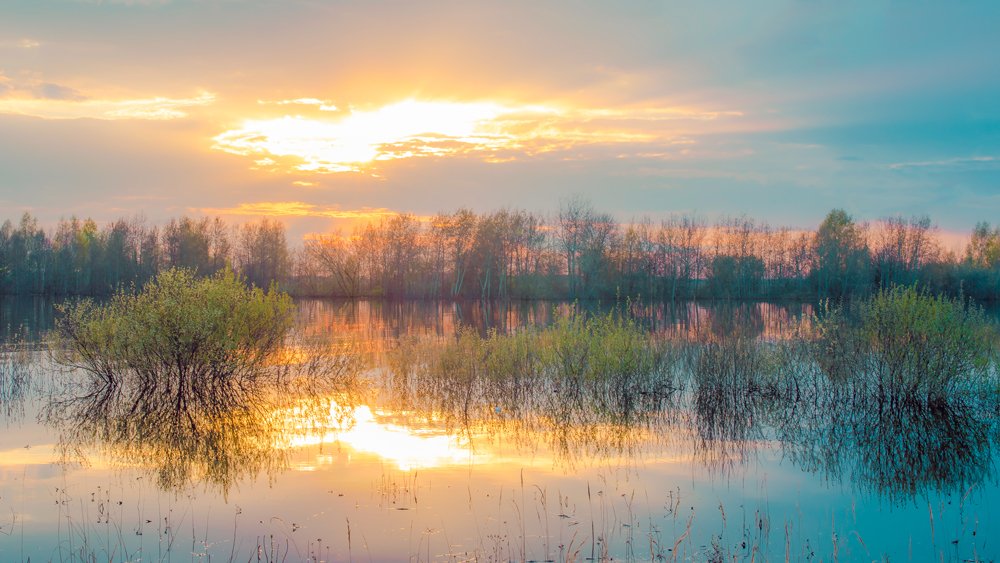 Photograph by Кирилл Огинов