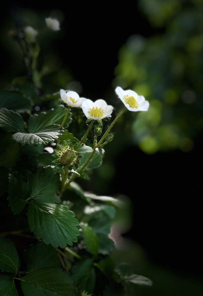 Photograph by Искандар Газизов