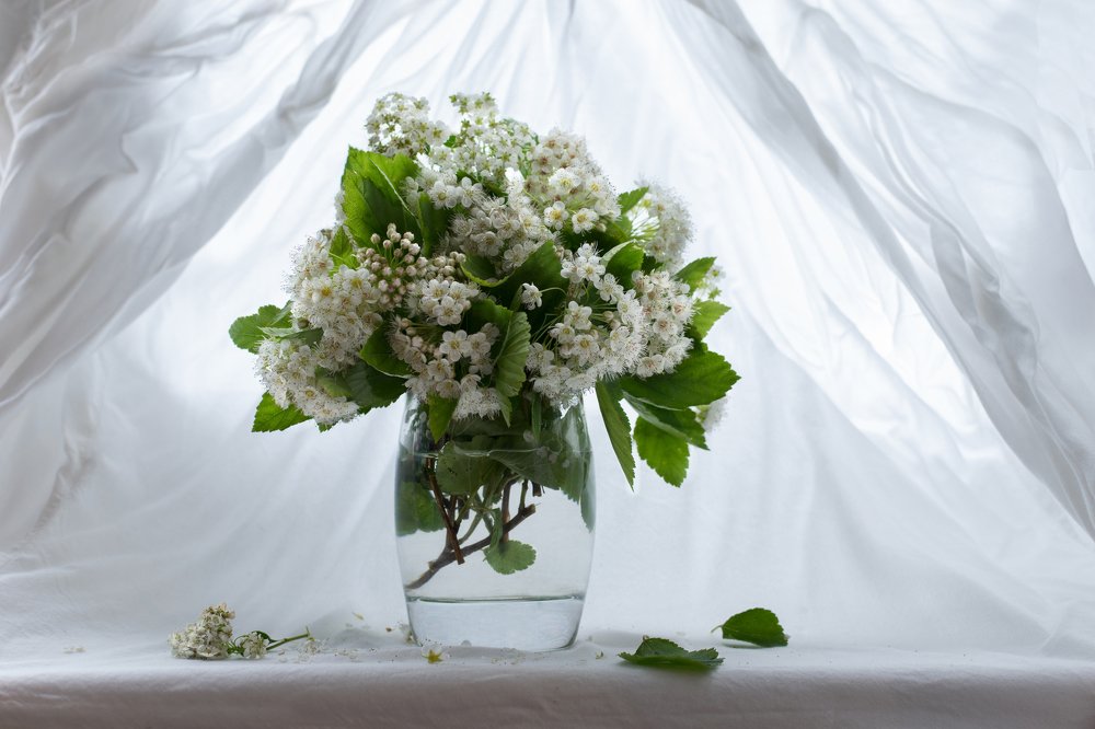 Летний букет