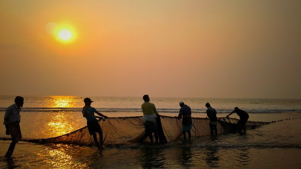 জেলেদের জীবিকা