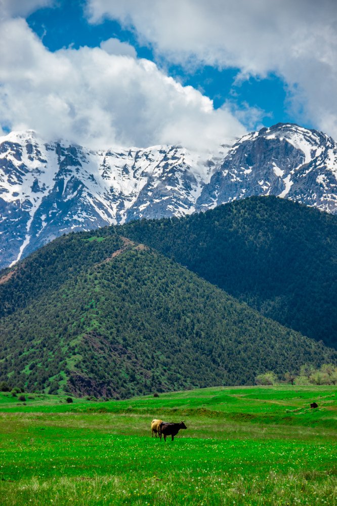 Таджикистан, Фанские горы