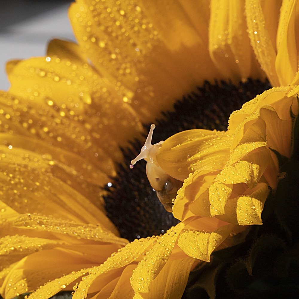 Photograph by Екатерина Вивюрская