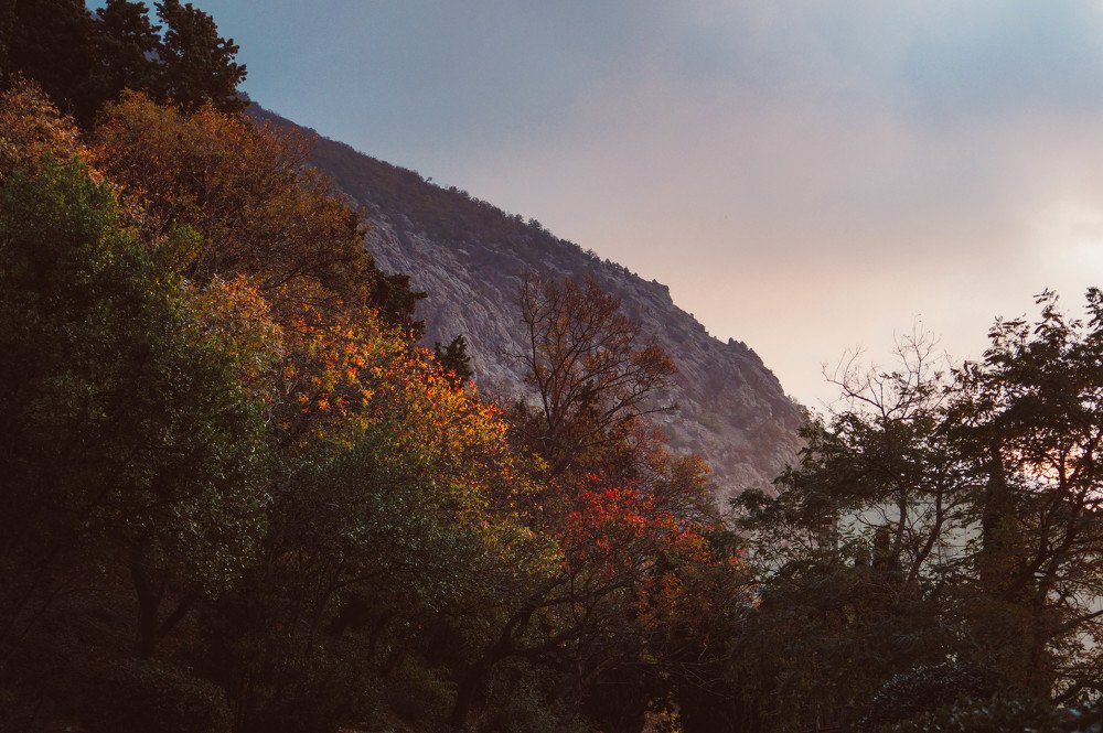 Палитра вечернего "Артека"