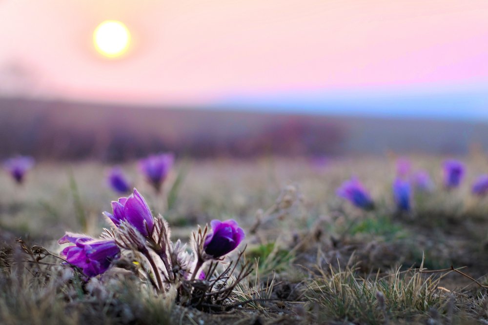 На встречу к солнышку