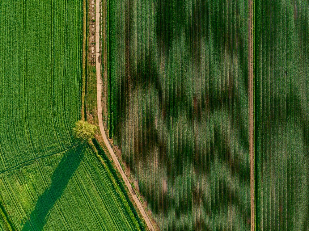 Симметрия поля