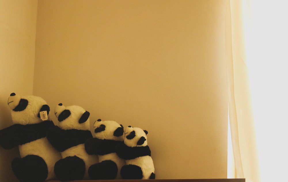 Escape from the lights