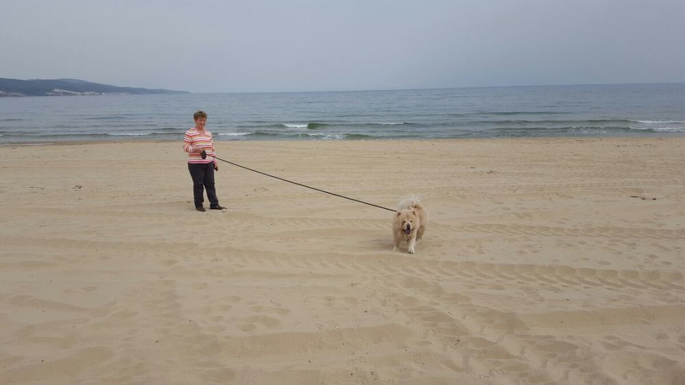 On the sand, on the sea!