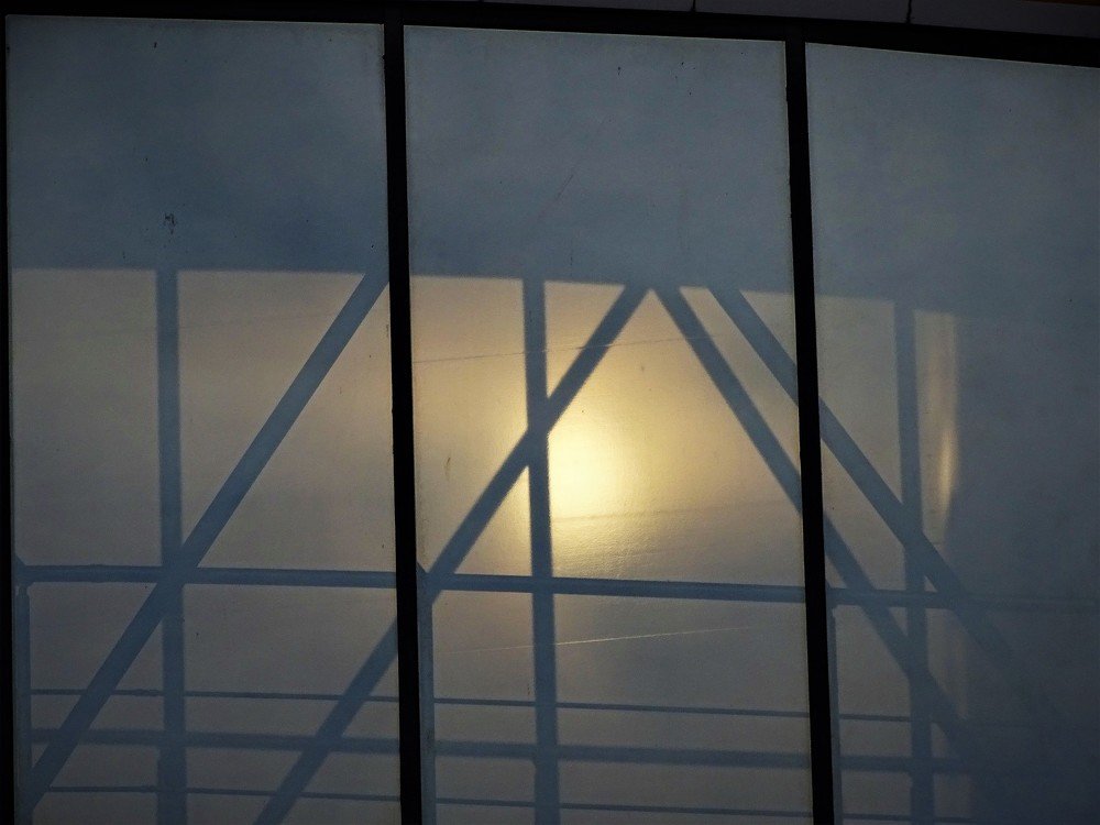 Beauty is everywhere, even in small things!