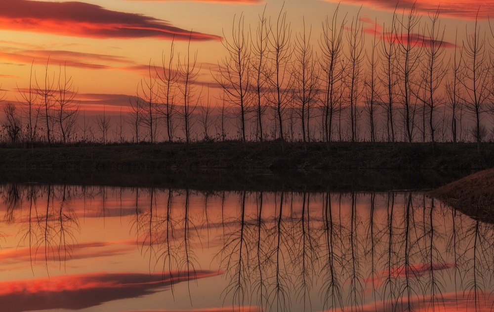 Photograph by Saeed Mamdouhi