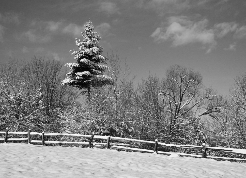 Photograph by Лозинский Ярослав