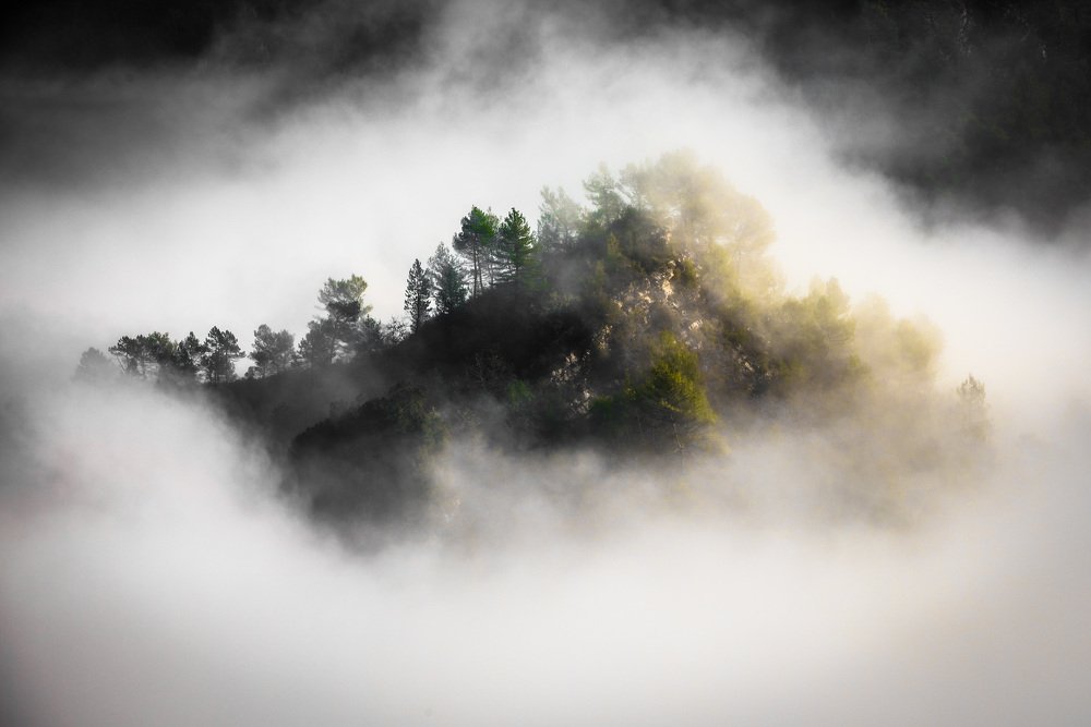 Photograph by Николай Пузанкевич