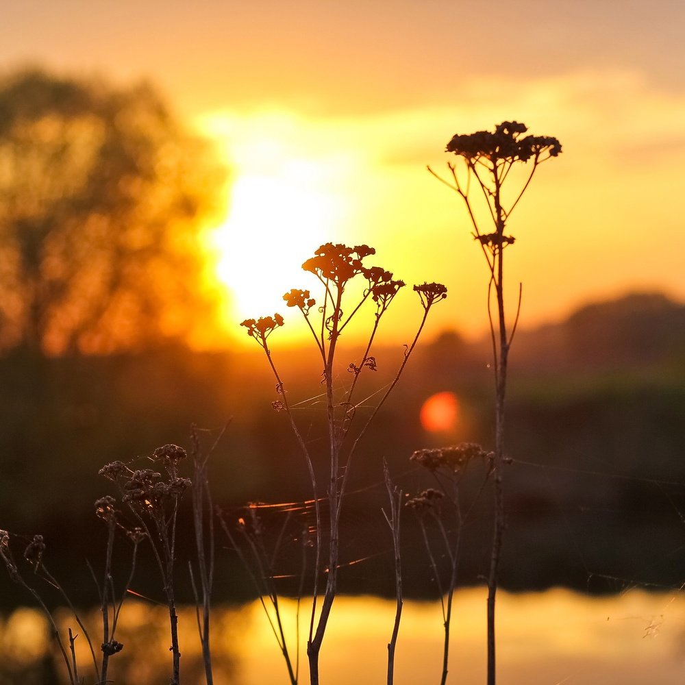 Теплый закат
