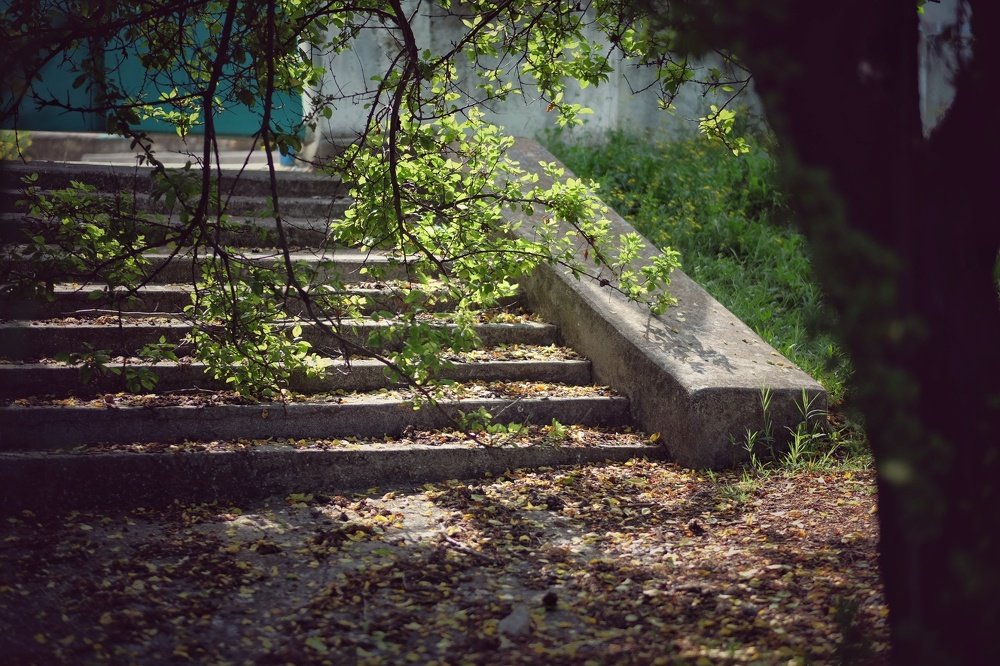 Спящая красавица