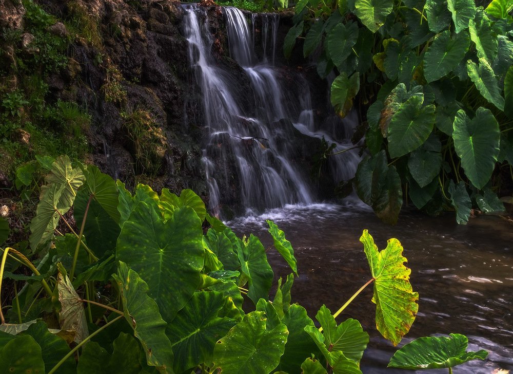 Водопад в кибуце Ха-Гошрим