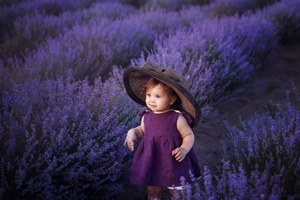 Лавандовое настроение