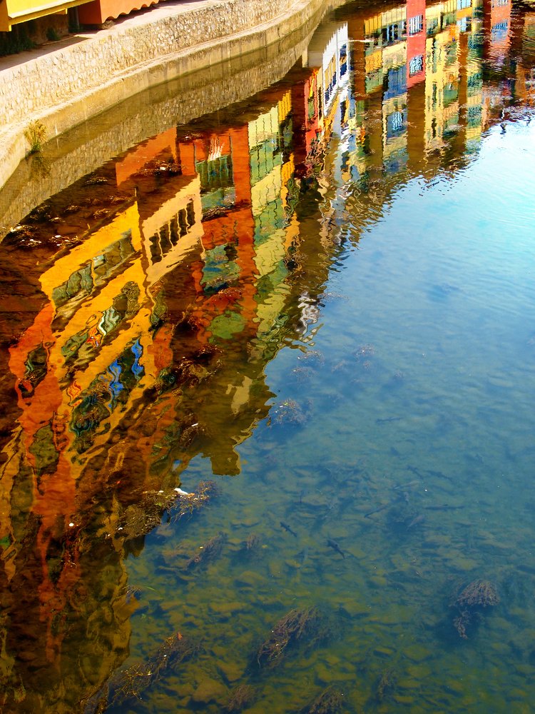 Жирона акварель на воде