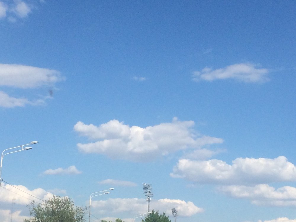 Плыл по небу крокодил