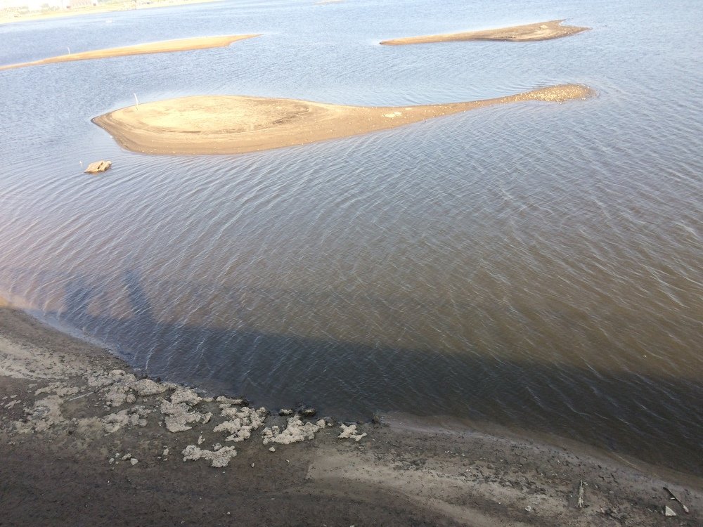 Чудо-юдо рыба кит