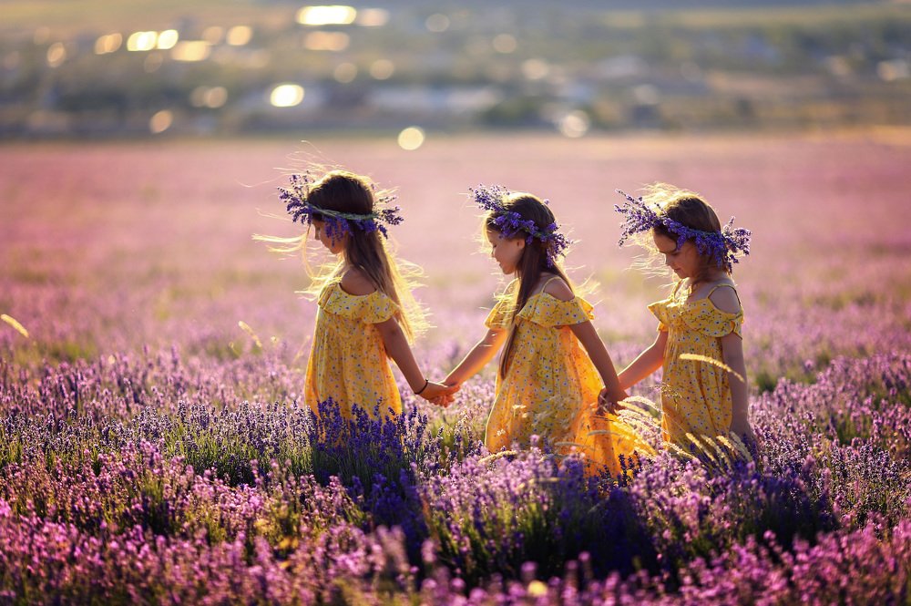 Лавандовая прогулка