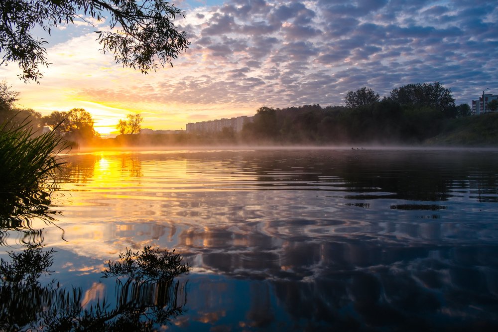 утро на озере