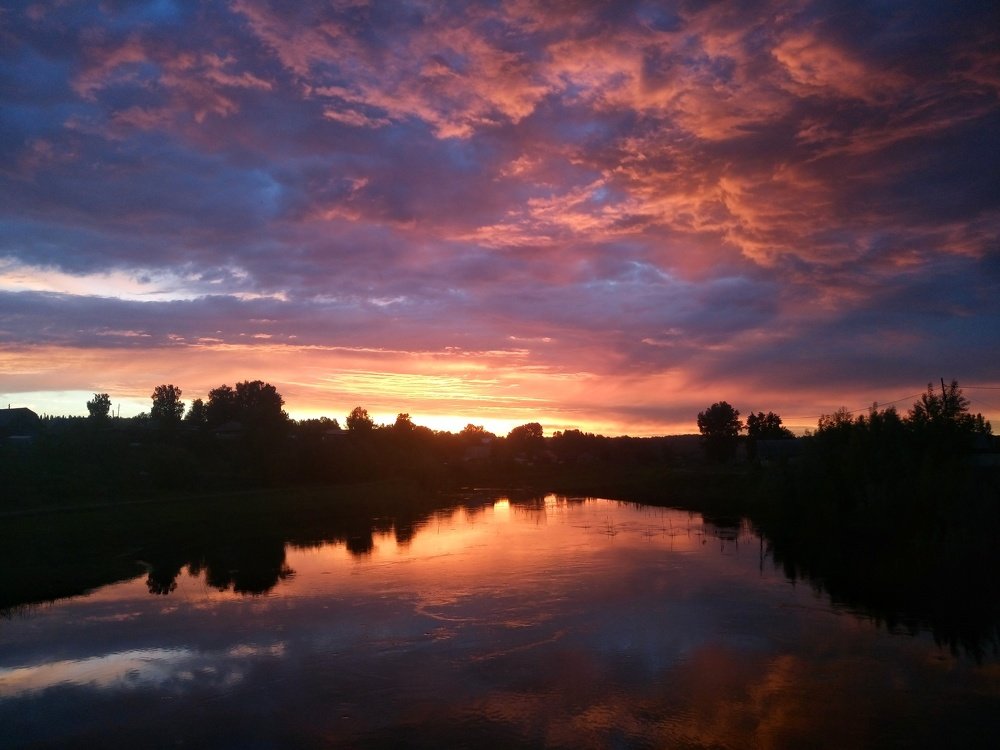 Photo #3340021