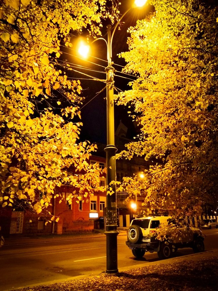 Ночь, улица, фонарь... и осень