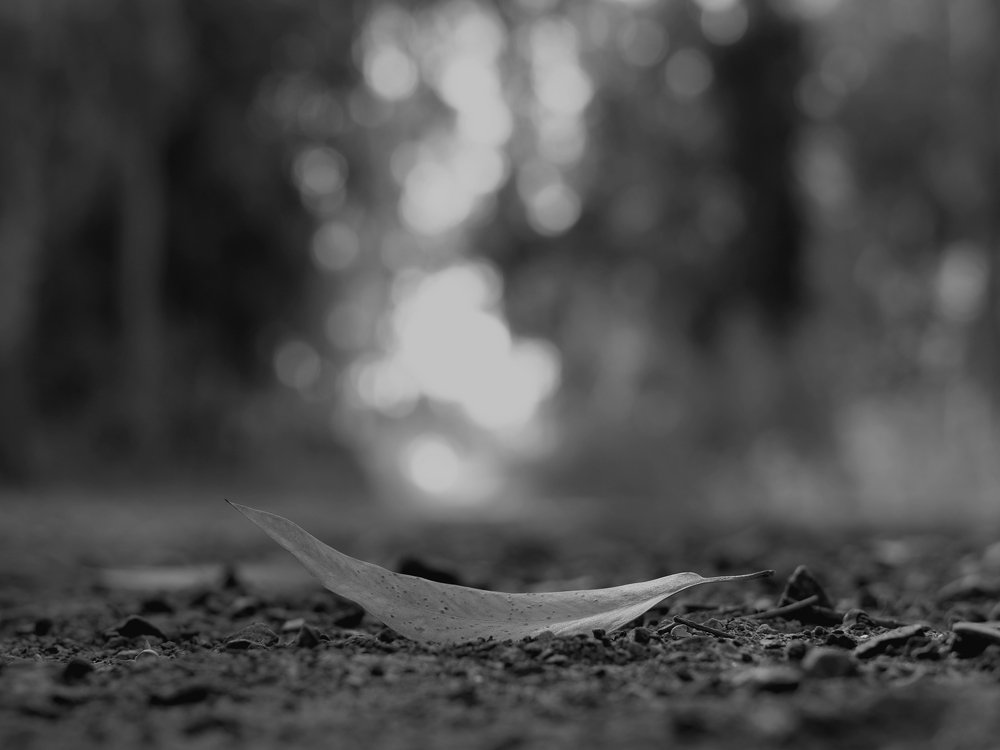 uncomfortable pose for a photo...