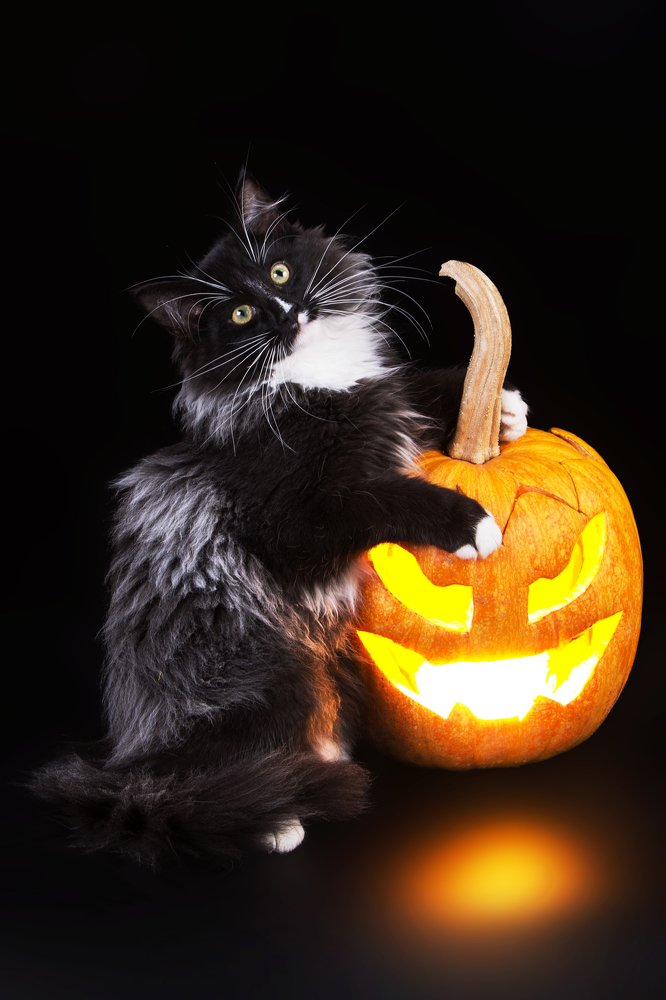 Photograph by Екатерина Быкова