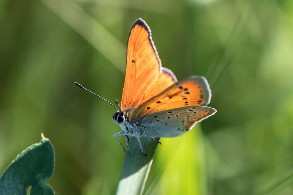 Photograph by Татьяна