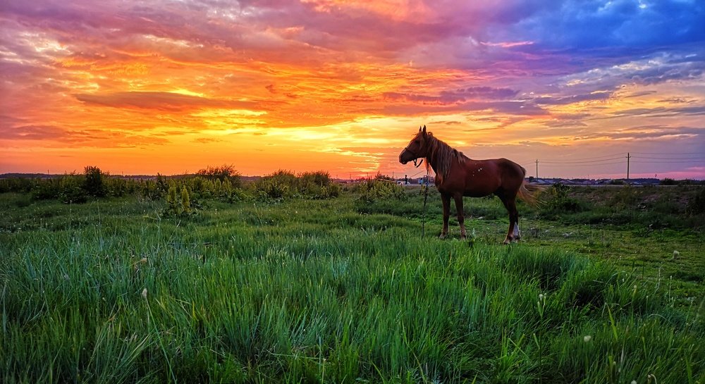 Огненный закат