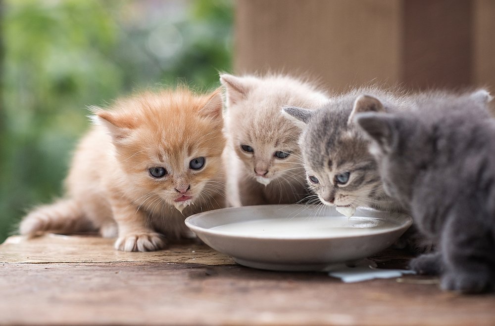 И мне немножечко