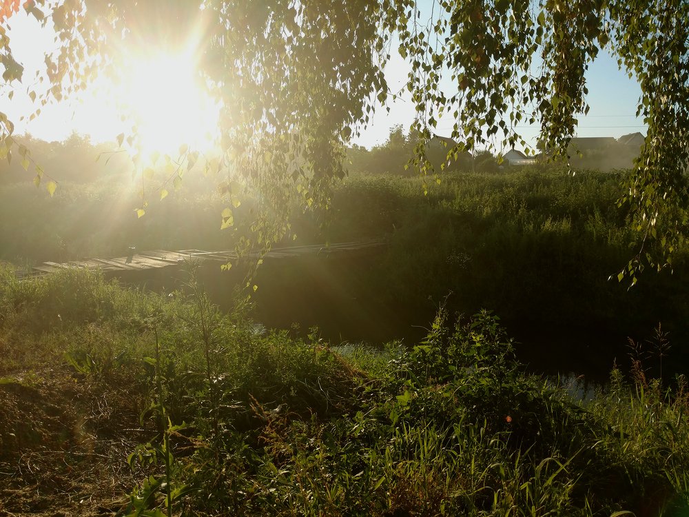 Photo #3340696