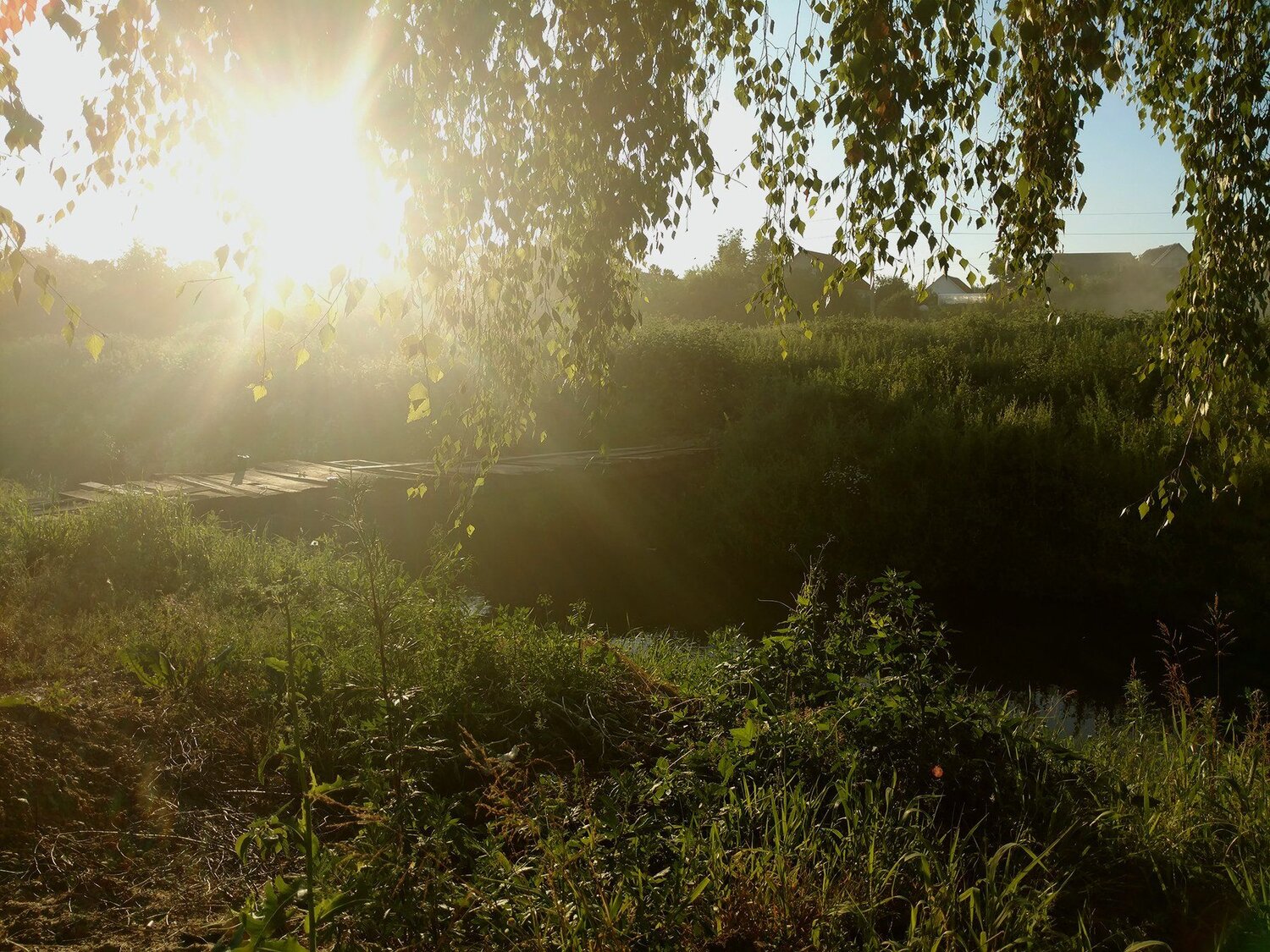 Photo #3340696