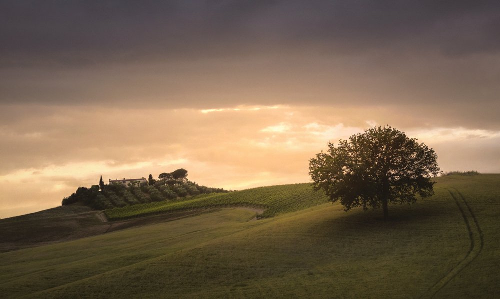 Sunset over Val d'Orcia