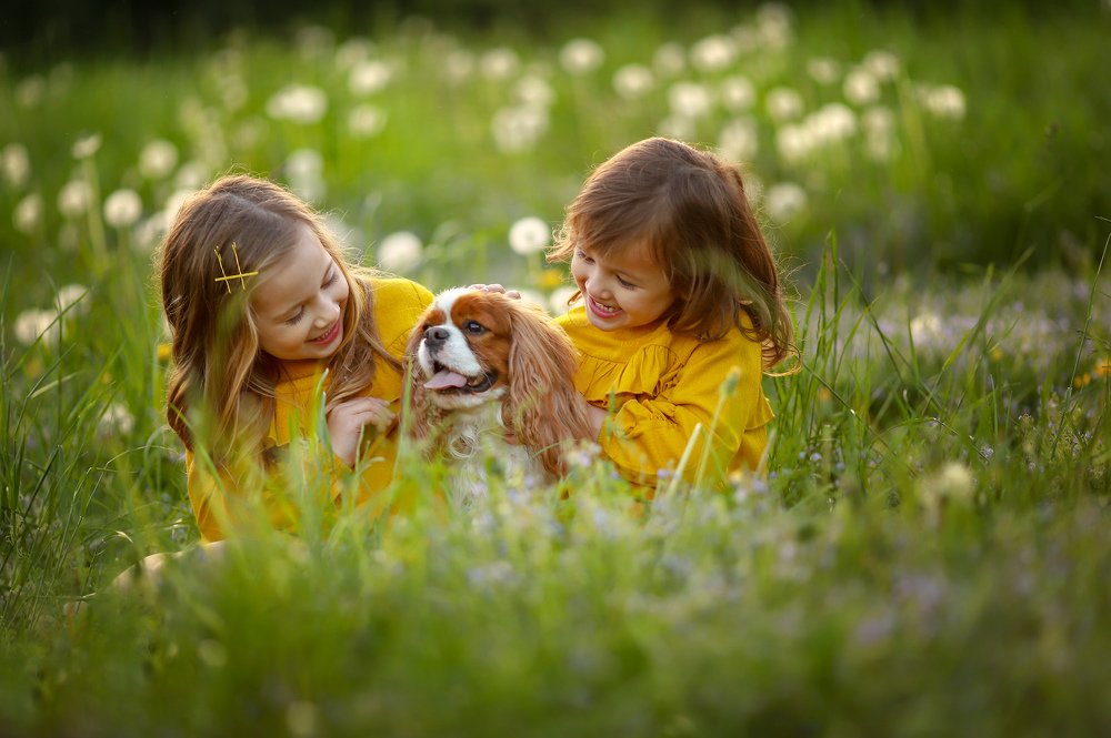 Девочки и собака