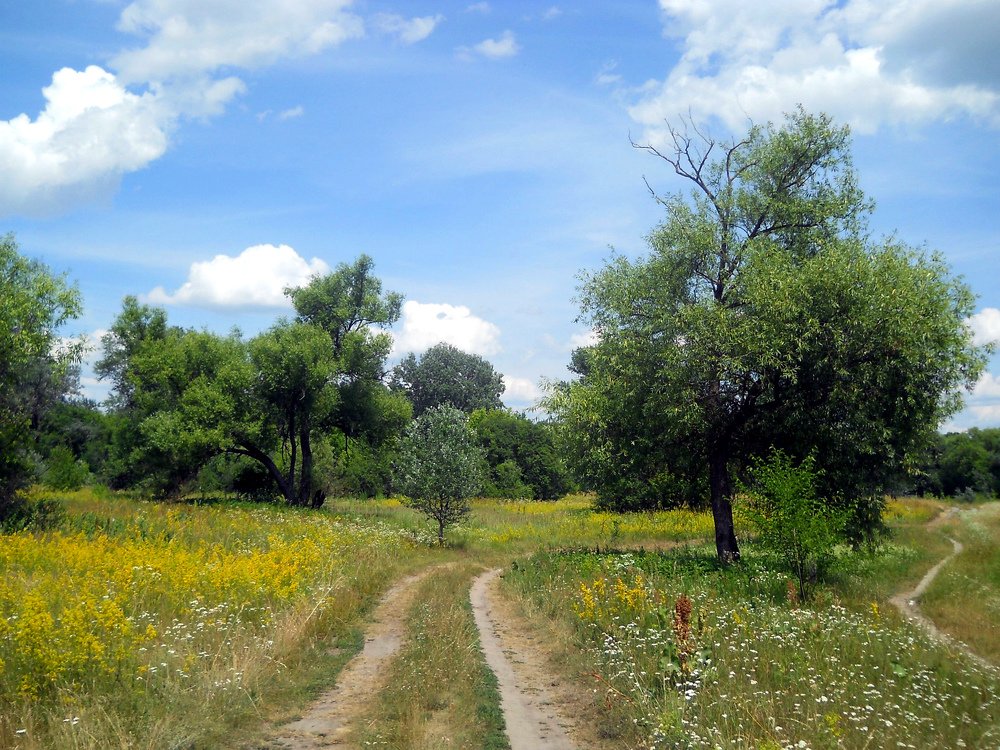 По пути к озеру