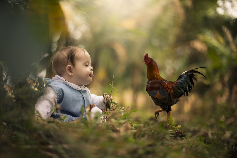 Baby Helena and the rooster