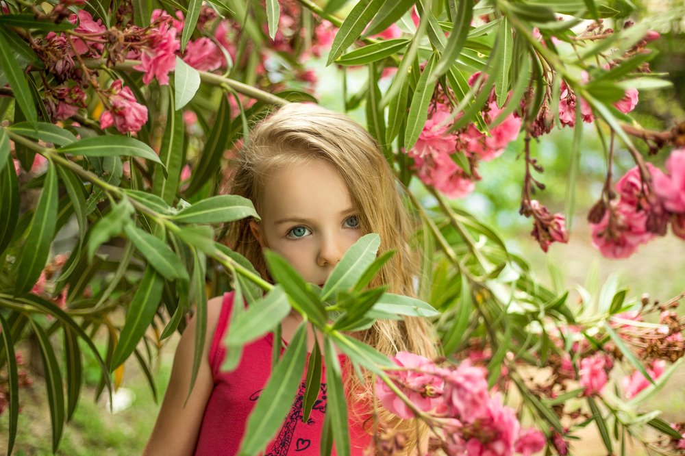 Тропиканка