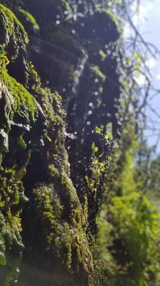 Photograph by Gulnaz Sabirova