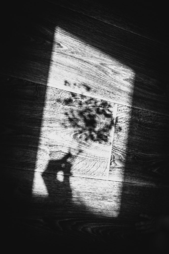 Photograph by Юлия Овчинникова