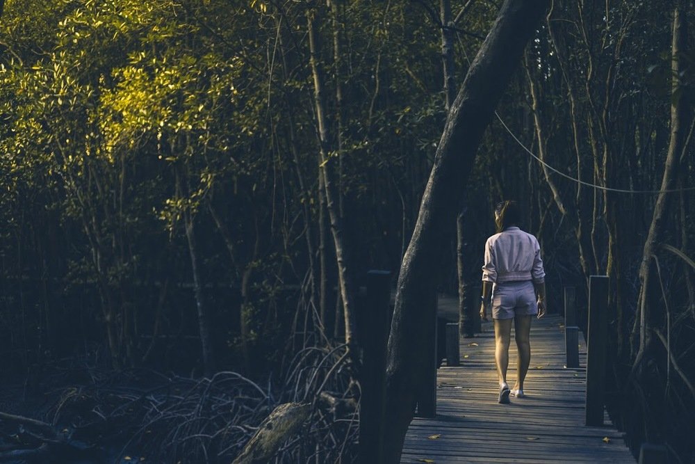 Alone in dark forest