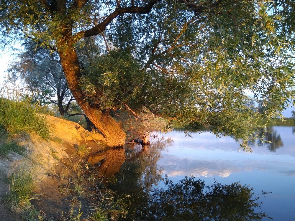 Золото заката