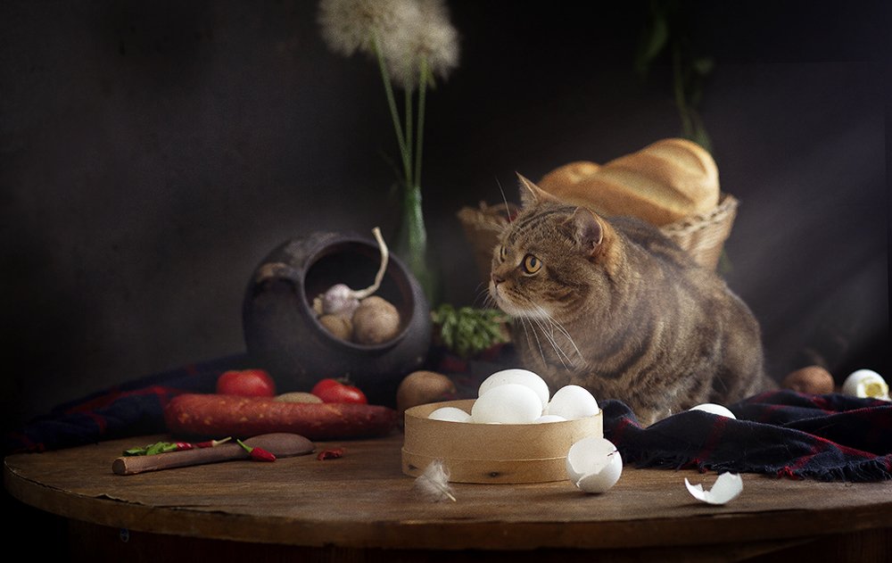 Photograph by Iryna Matvieienko