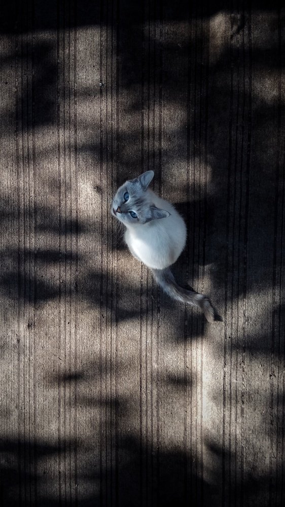 Photograph by Karash Zhanyshov