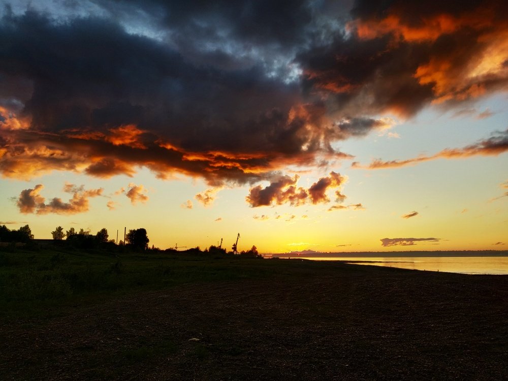 Photo #3341844