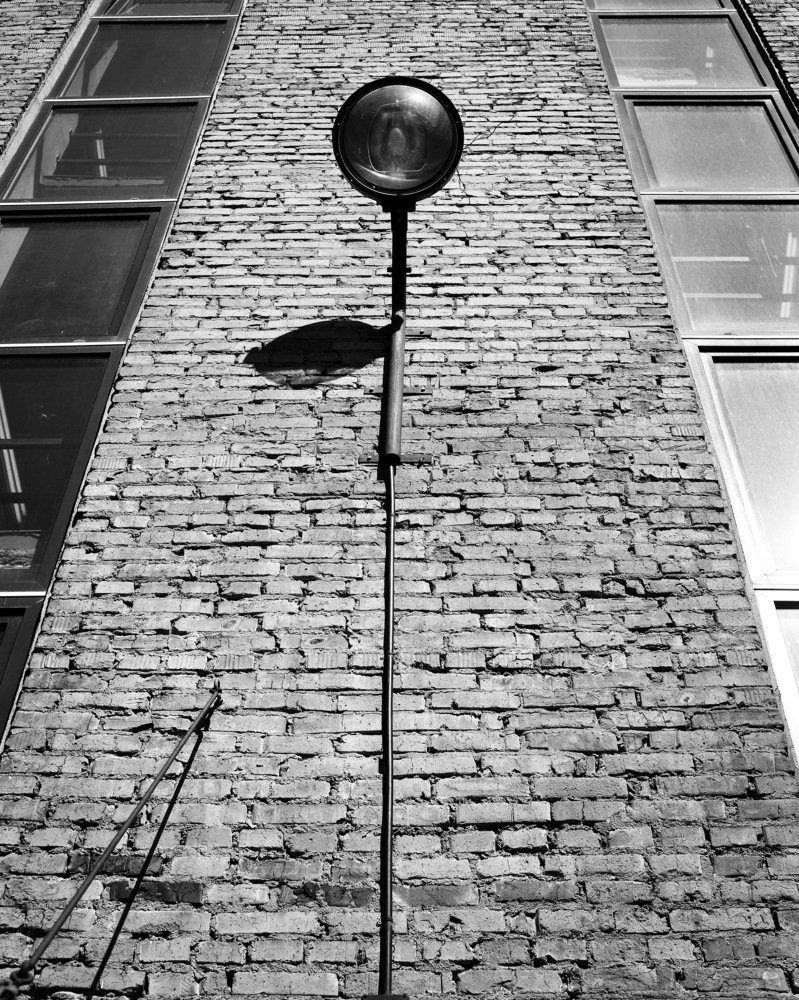 flower on the wall